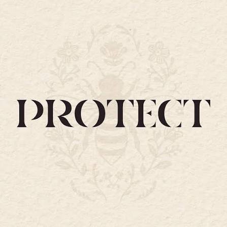 Protect : l’histoire d’une marque de vape engagée pour les abeilles